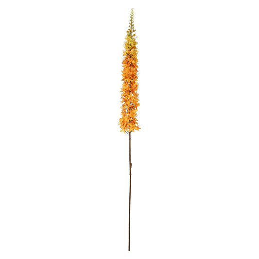 Discover the Orange Single Foxtail Lily (109cm) at Bristow Direct