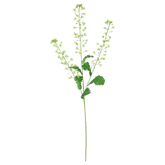 Discover the Rapeseed Flower Green (111cm) at Bristow Direct