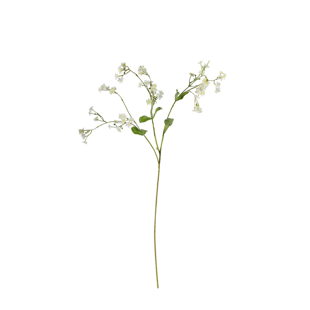 Discover the Cream Forget-Me-Not Spray (76cm) at Bristow Direct