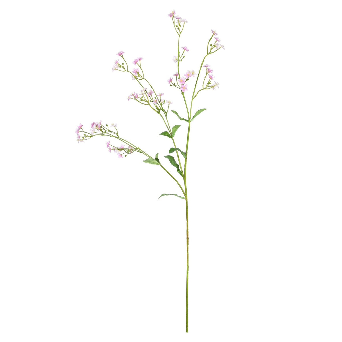 Discover the Pink Forget-Me-Not Spray (76cm) at Bristow Direct