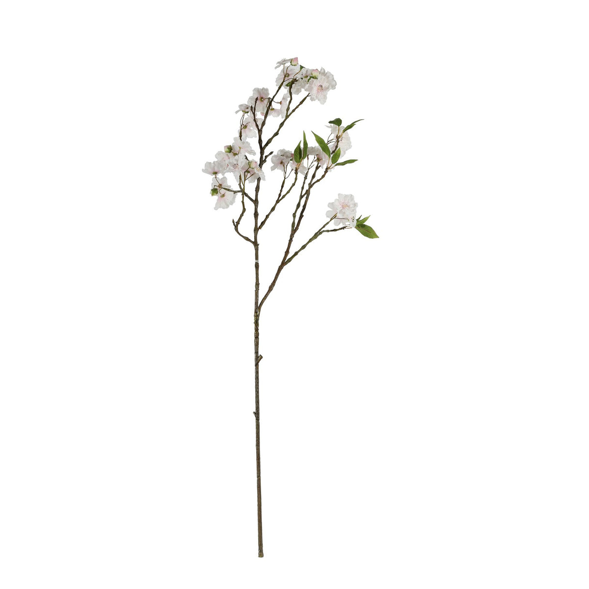Discover the Cream Peach Blossom Spray (82cm) at Bristow Direct