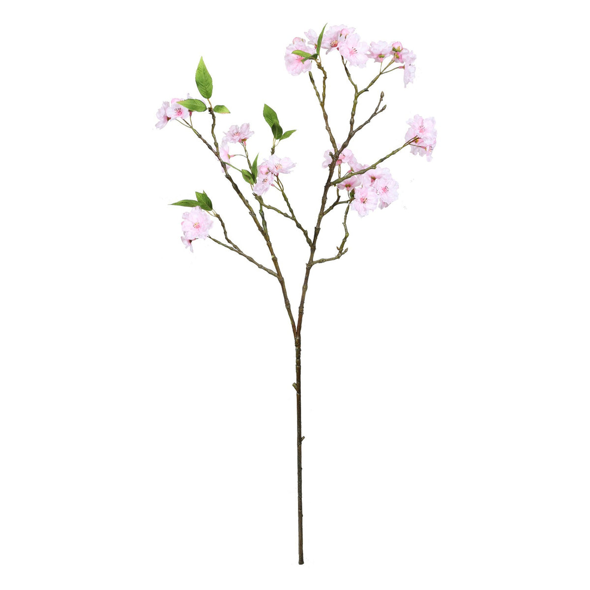 Discover the Pink Peach Blossom Spray (82cm) at Bristow Direct