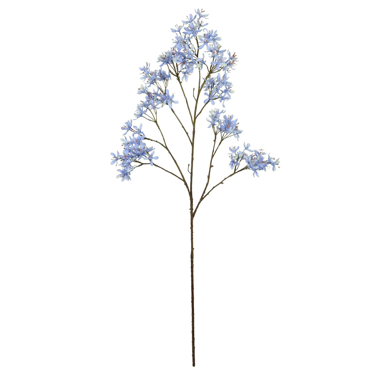 Discover the Blue Peach Spray (113cm) at Bristow Direct