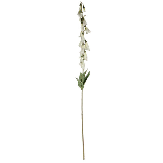 Discover the Digitalis Spray Cream (107cm) at Bristow Direct