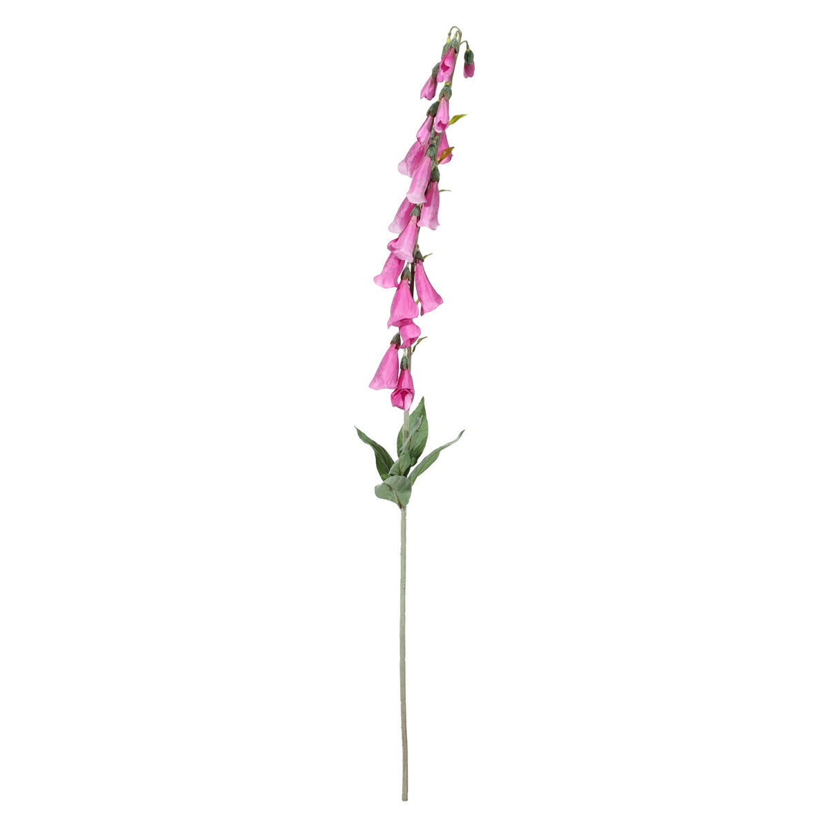 Discover the Dark Pink Digitalis Spray (107cm) at Bristow Direct