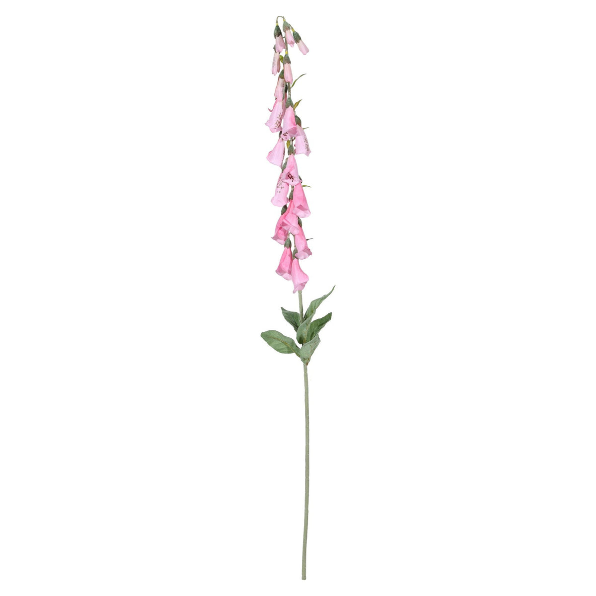 Discover the Fuchsia Digitalis Spray (107cm) at Bristow Direct