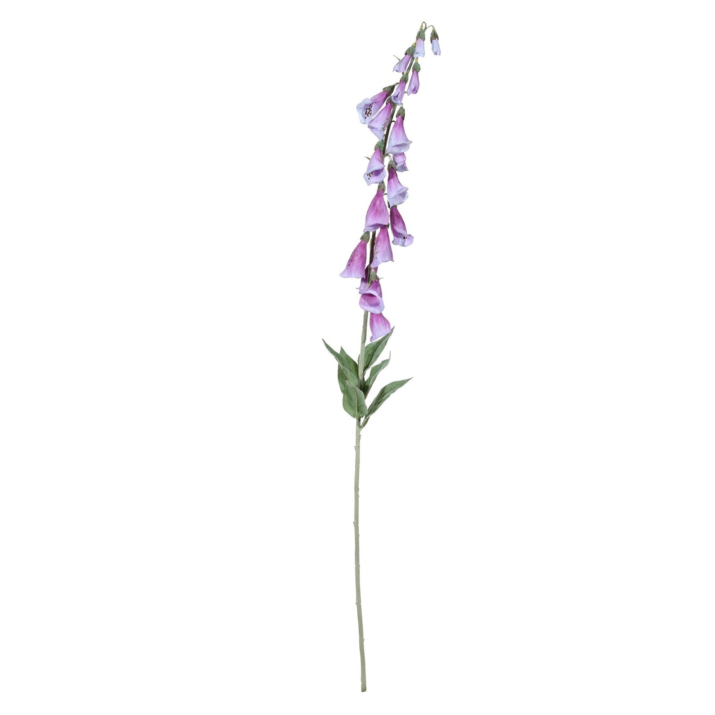 Discover the Purple Digitalis Spray (107cm) at Bristow Direct