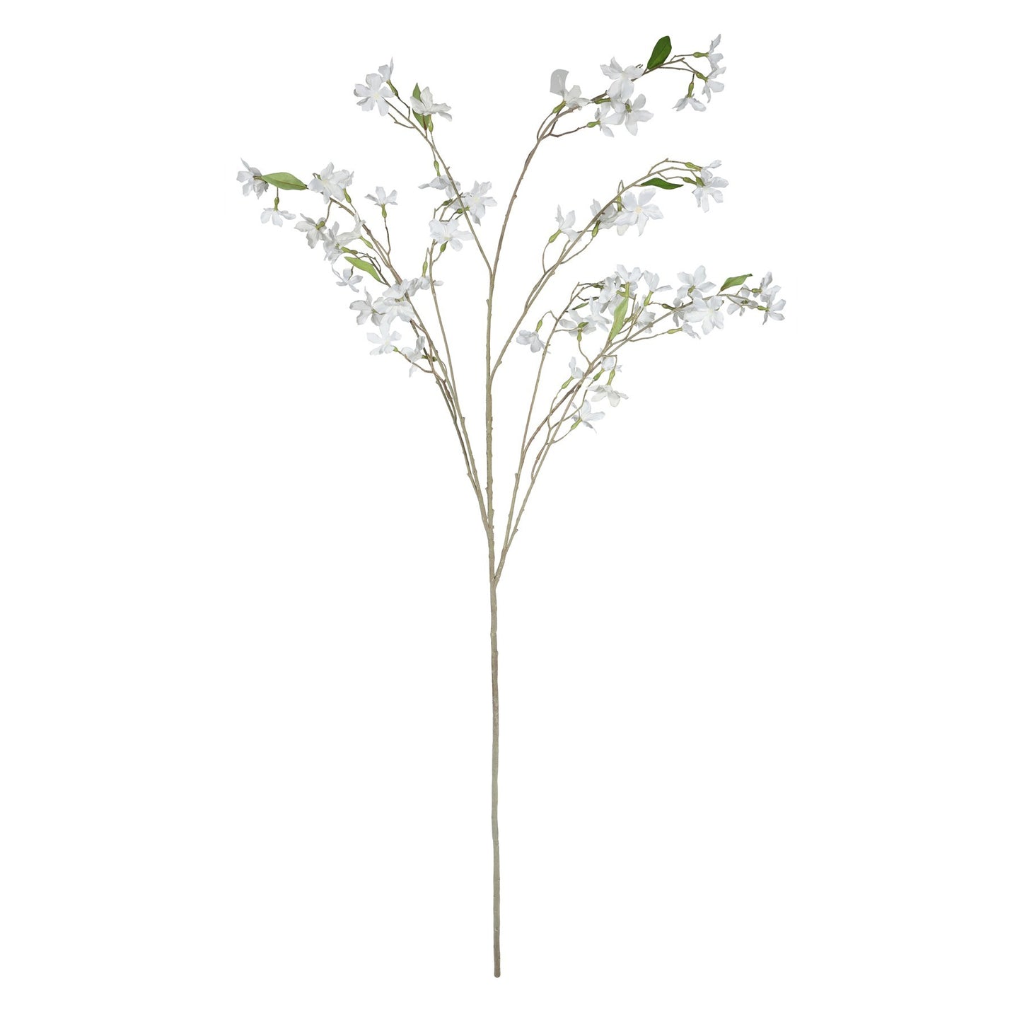 Discover the Cream Stephanotis Spray (153cm) at Bristow Direct