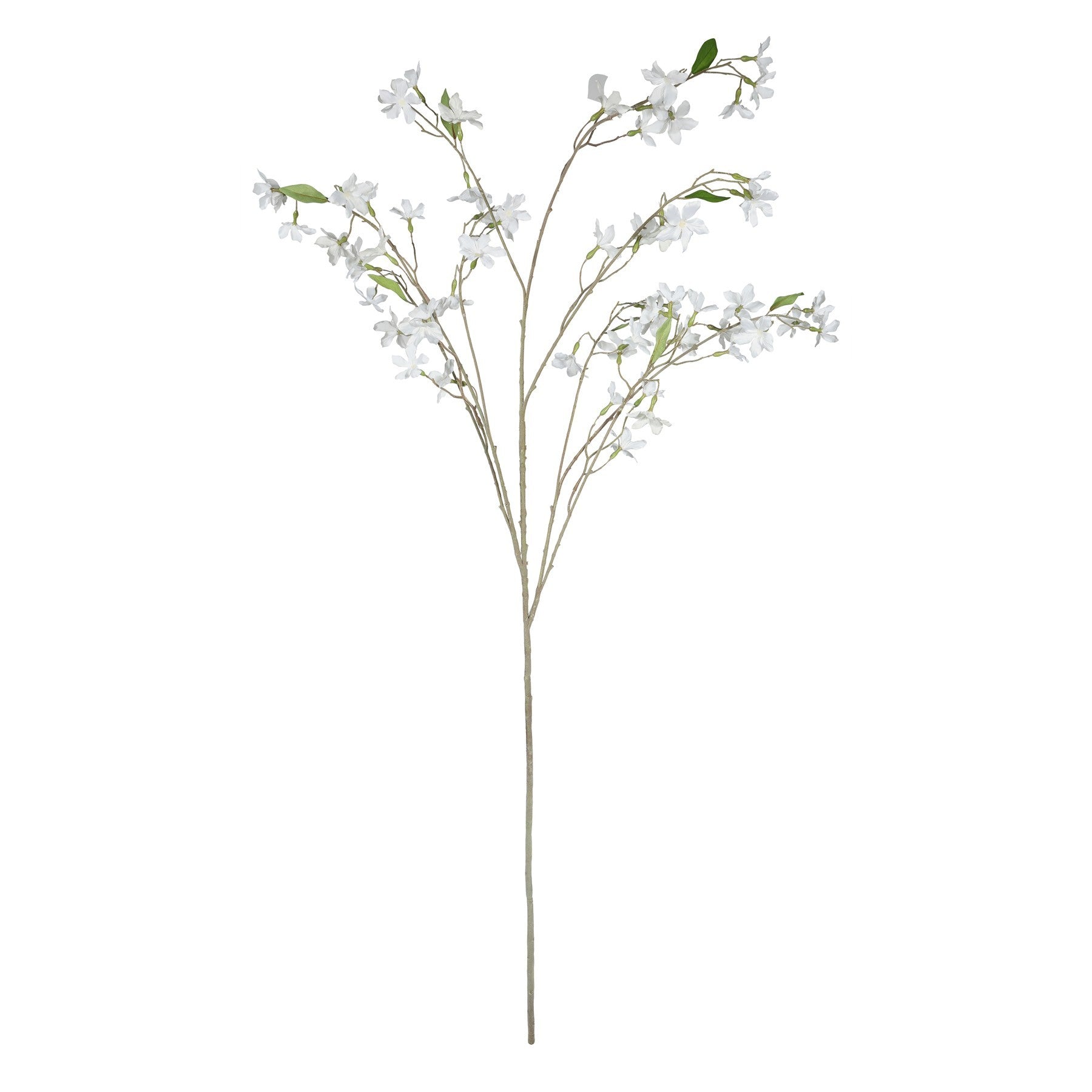 Discover the Cream Stephanotis Spray (153cm) at Bristow Direct