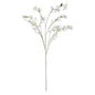 Discover the Cream Stephanotis Spray (153cm) at Bristow Direct