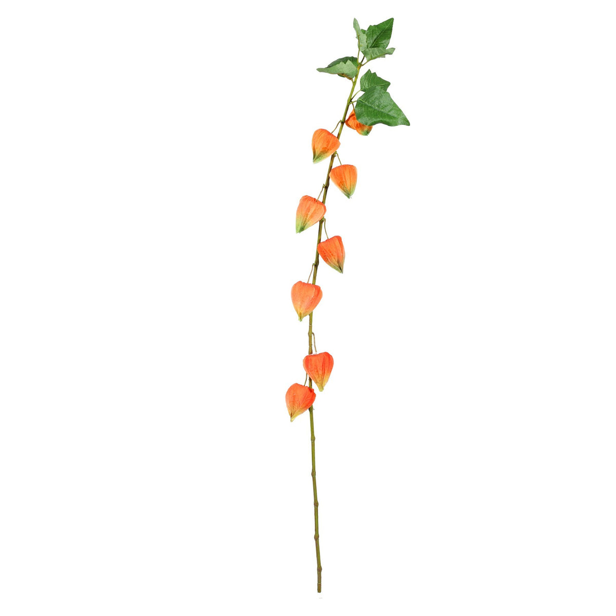 Discover the Single Houzuki (91cm) at Bristow Direct