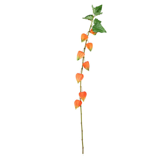 Discover the Single Houzuki (91cm) at Bristow Direct