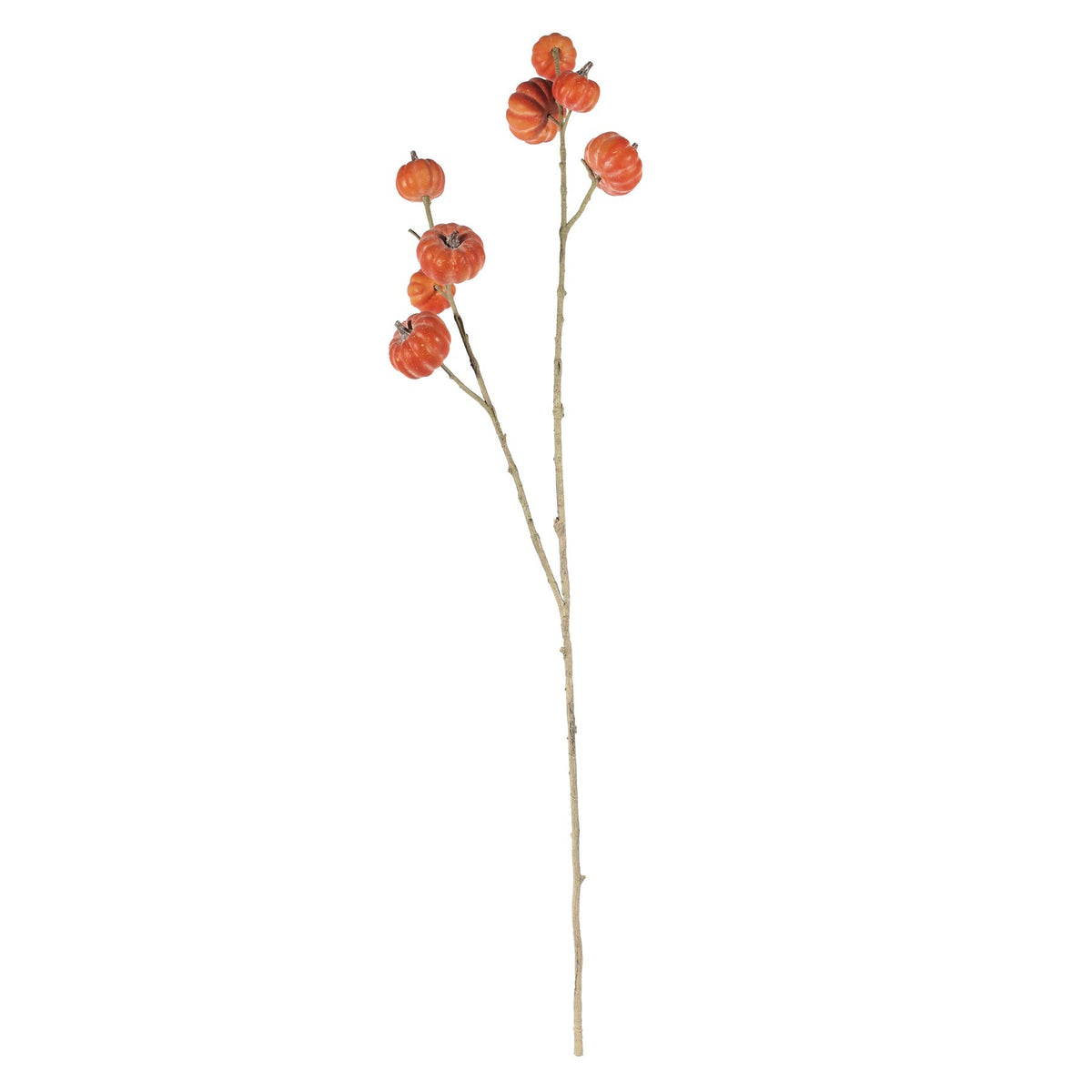 Discover the Cushaw Spray (97cm) at Bristow Direct