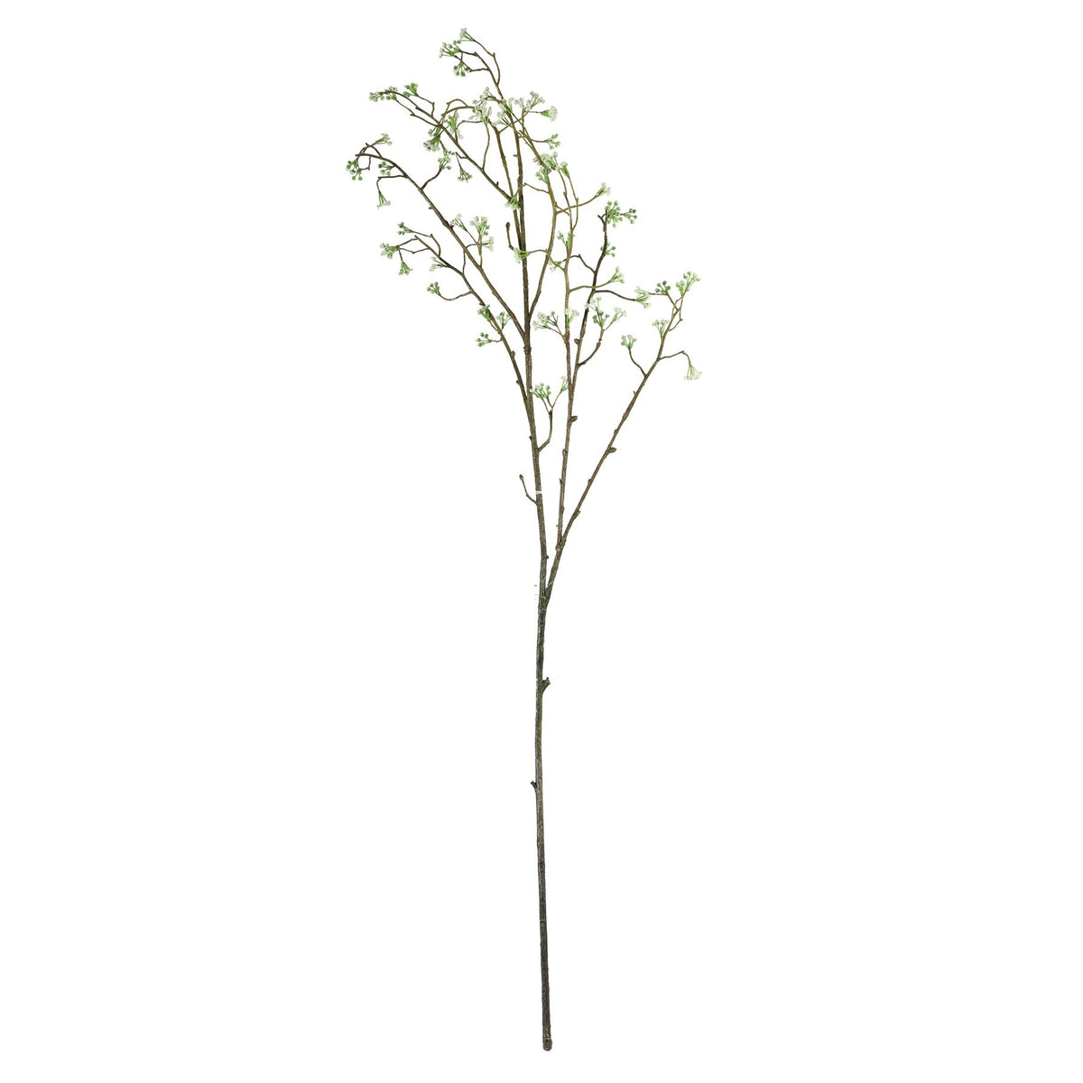 Discover the Cream Wild Carrot (91cm) at Bristow Direct