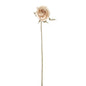 Cream Rose Bud Stem (46cm)