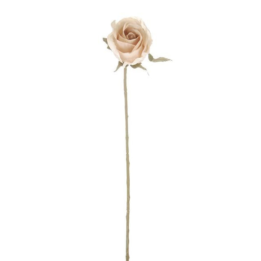 Cream Rose Bud Stem