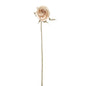 Cream Rose Bud Stem