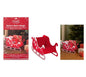 Red  White Santas Been Decorative Present Sleigh