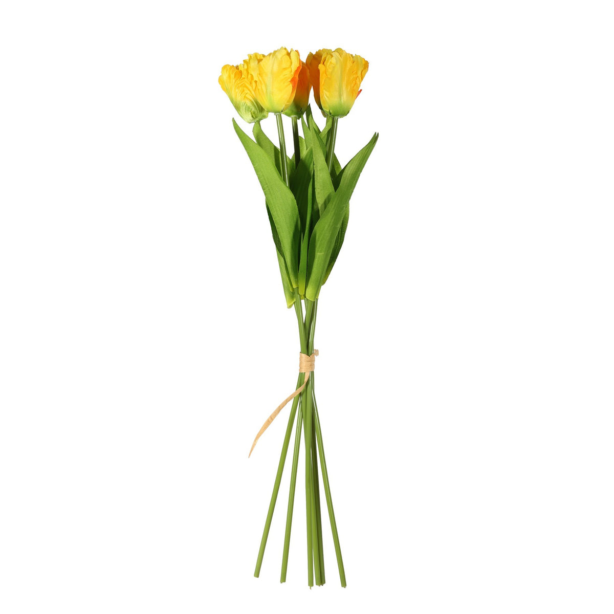 Discover the Essential Yellow Small Parrot Tulip Bunch (6 Stems) at Bristow Direct