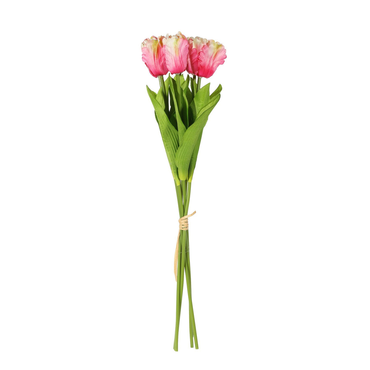 Discover the Essential Pink Small Parrot Tulip Bunch (6 Stems) at Bristow Direct