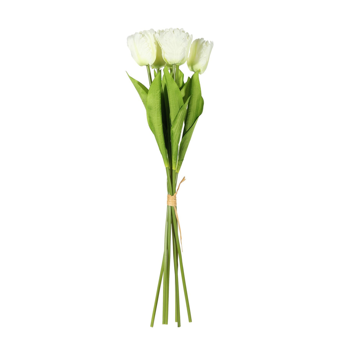 Discover the Essential Cream Small Parrot Tulip Bunch (6 Stems) at Bristow Direct