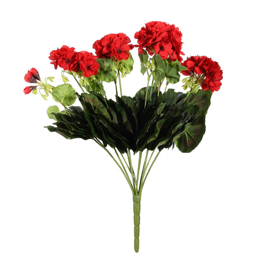 Discover the Red Black Geranium Bush at Bristow Direct