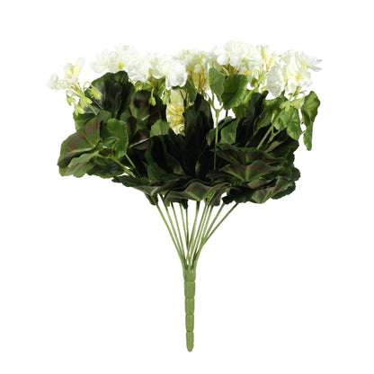Discover the Cream Geranium Bush at Bristow Direct