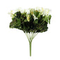 Discover the Cream Geranium Bush at Bristow Direct