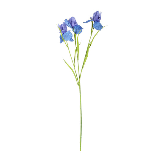 Discover the Blue Iris Spray (60cm) at Bristow Direct