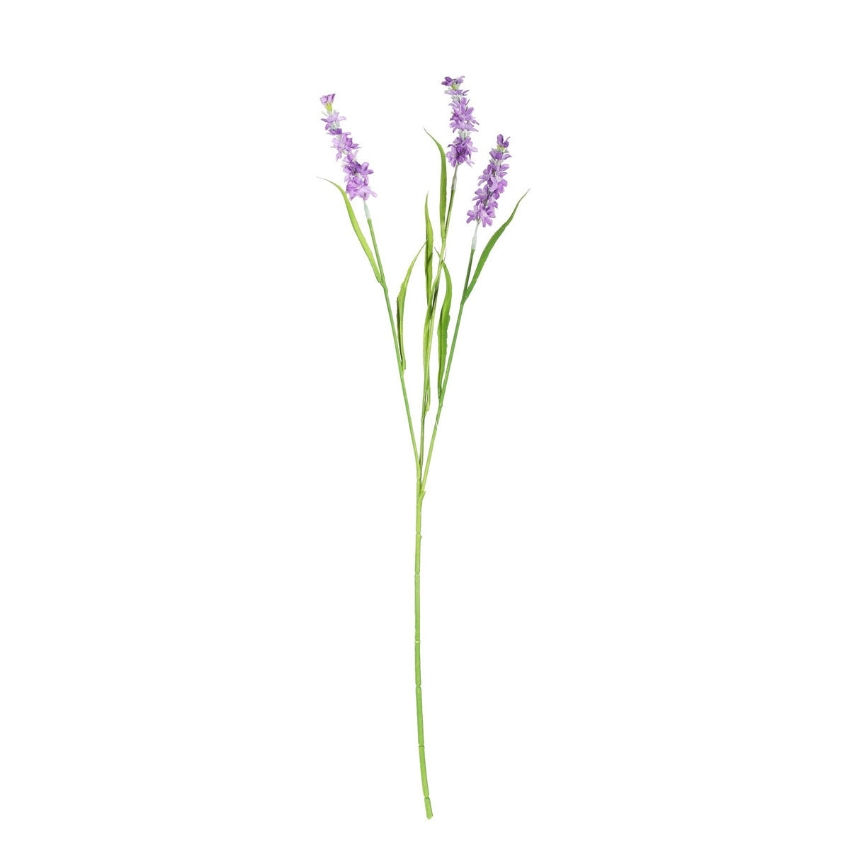 Discover the Lavender Spray (65cm) at Bristow Direct