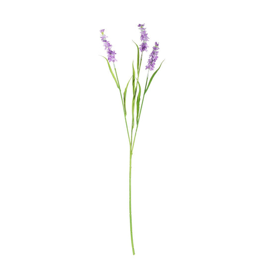 Discover the Lavender Spray (65cm) at Bristow Direct