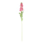 Discover the Dark Pink Stock Flower (80cm) at Bristow Direct