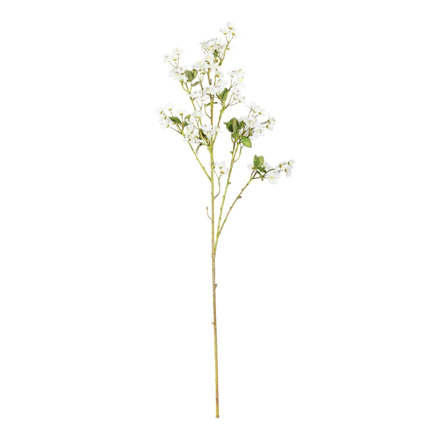 Discover the Mini Peach Blossom Cream (87cm) at Bristow Direct