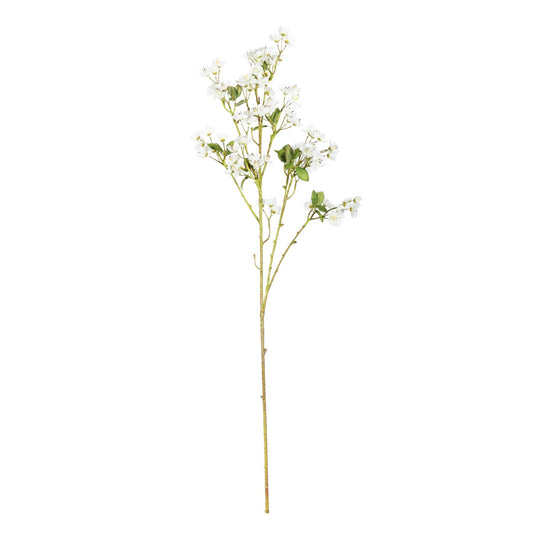 Discover the Mini Peach Blossom Cream (87cm) at Bristow Direct