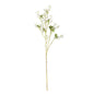 Discover the Mini Peach Blossom Cream (87cm) at Bristow Direct