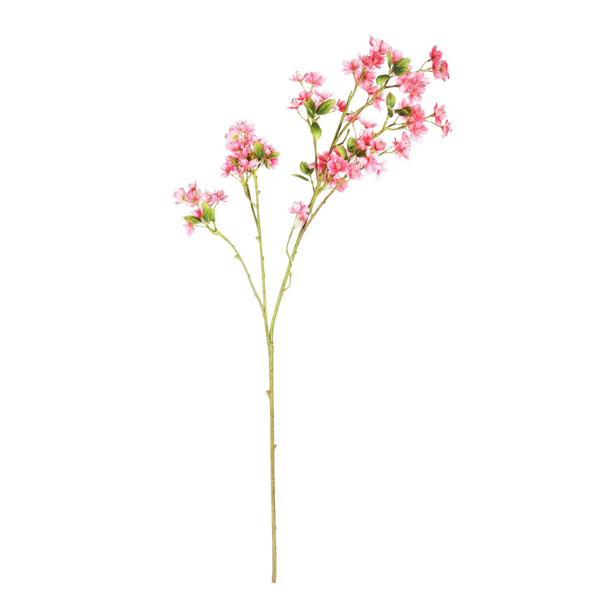 Discover the Dark Pink Mini Peach Blossom (87cm) at Bristow Direct
