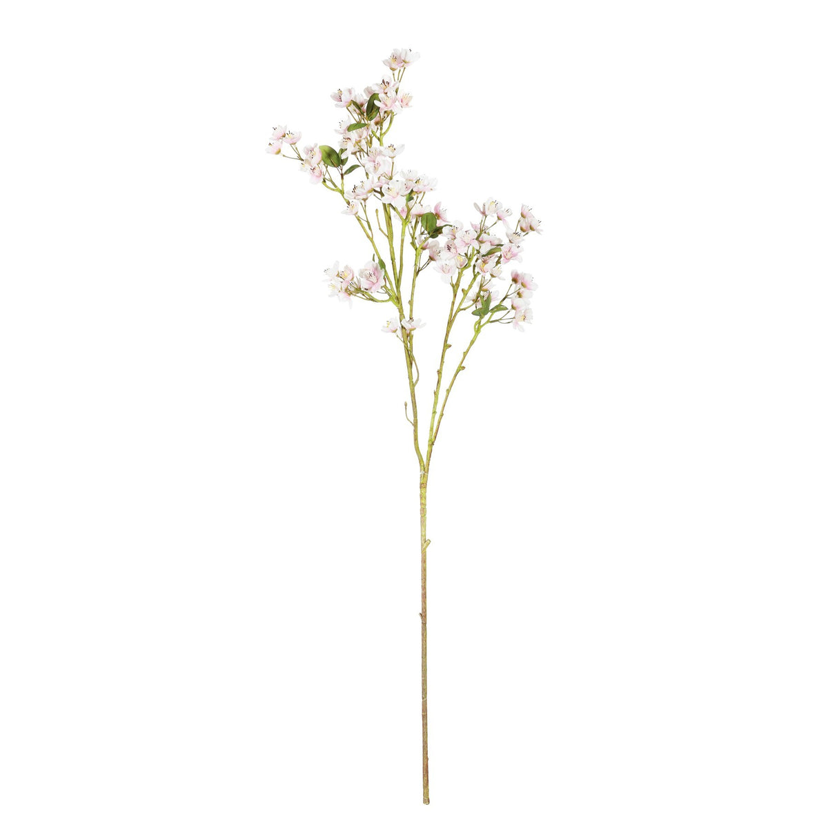 Discover the Mini Peach Blossom Light Pink (87cm) at Bristow Direct