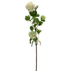 White Snowball Flower