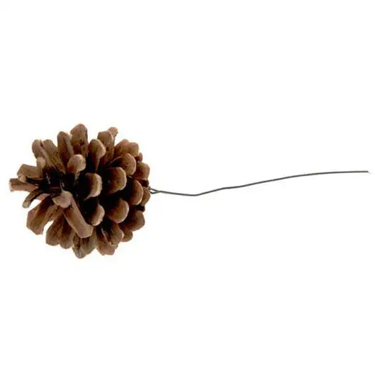 Bristow Direct Austriaca pine cone on a thin wire stem for floral arrangements