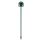 Cardette Green