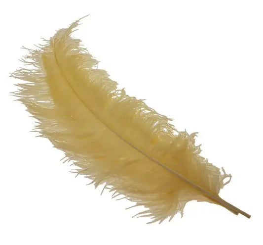 Soft cream ostrich feather for luxury home décor and elegant gift styling