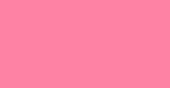 Rose Euro-Aerosols Spray Paint