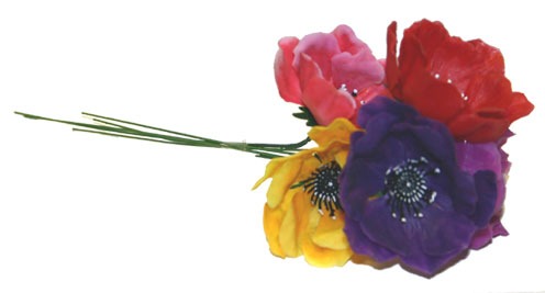 Discover the Assorted Anemone Picks (x100) at Bristow Direct