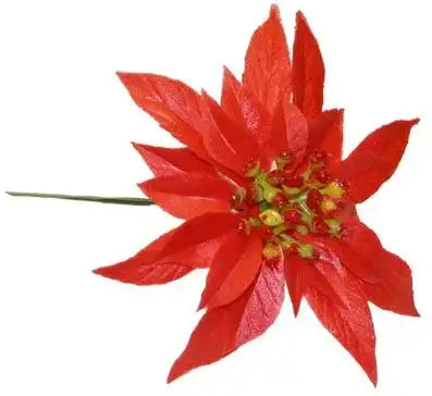 Red Poinsettia (6.5Inch)