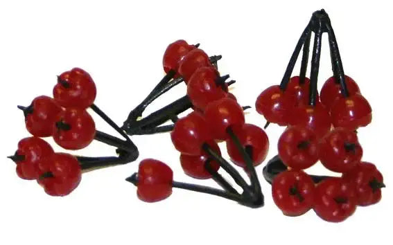 Clusters of red 3cm berries on black stems by Bristow Direct