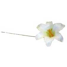Discover the White Harissi Lily (x100) at Bristow Direct
