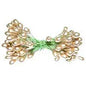 Double Ended Gold Berries                                 (50 wires/bunch)