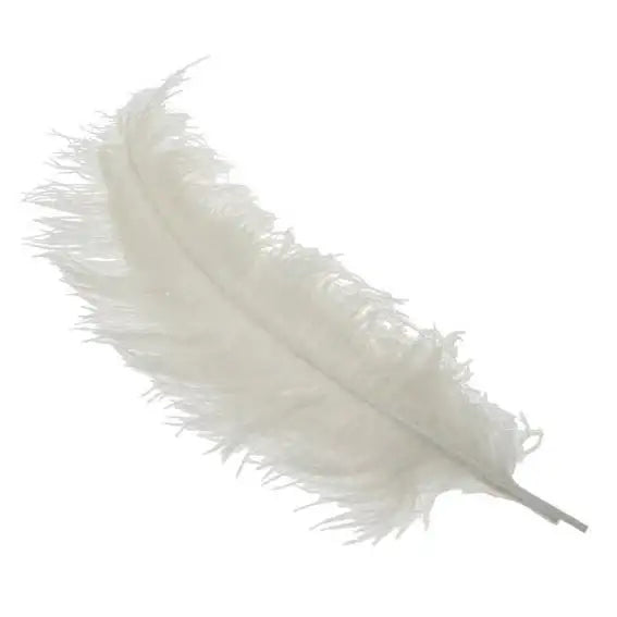 Soft white ostrich feather for luxury home décor and elegant gift styling