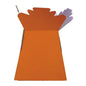 Orange Living Vases