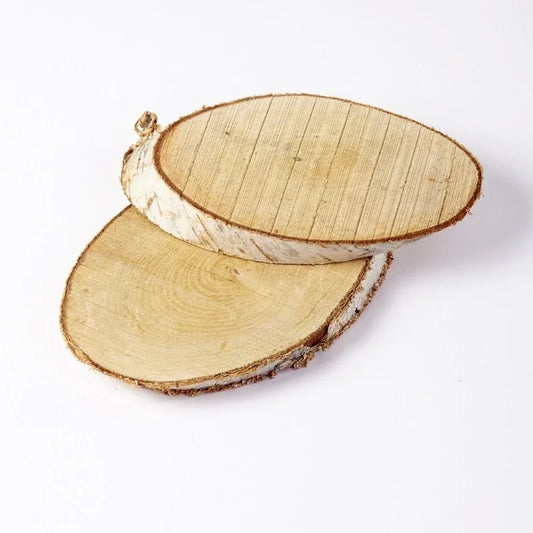 Two natural birch wood slices for rustic home decor or craft projects on white background